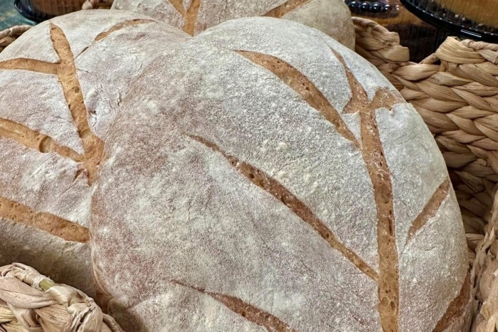 Bread