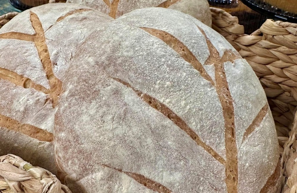 Bread 